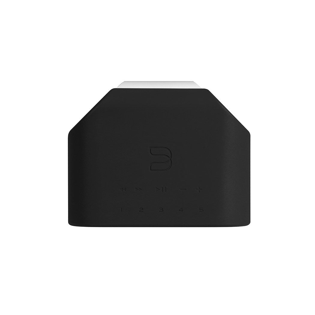 Bluesound Pulse Flex 2i Skin