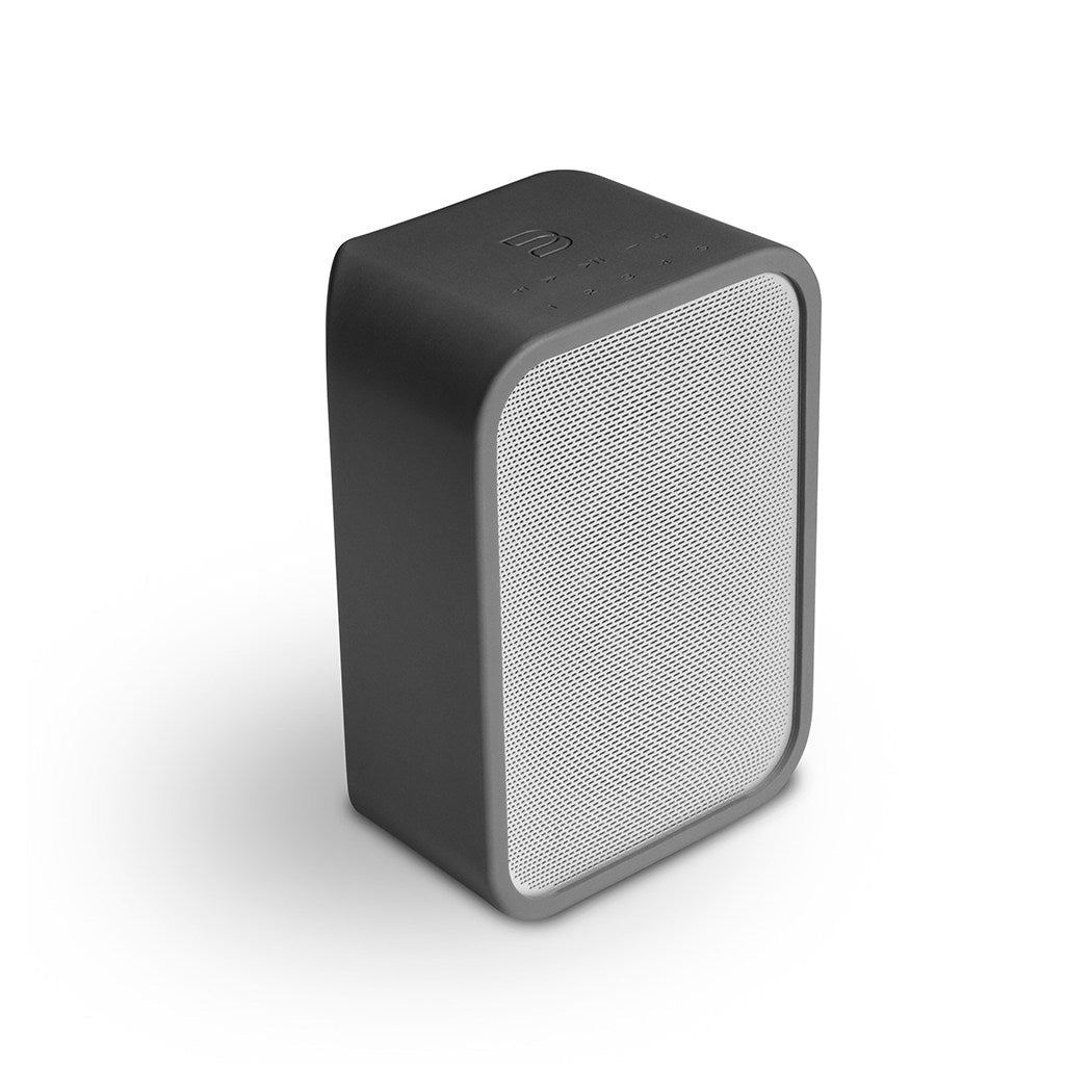 Bluesound Pulse Flex 2i Bundle - Portable Hi-Fi Speaker with Battery Pack & Skin