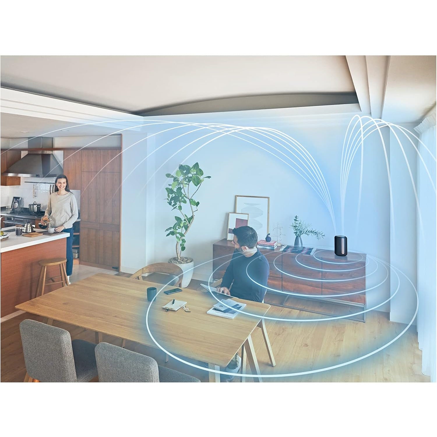 Sony SRS-RA3000 - Premium Wireless Speaker