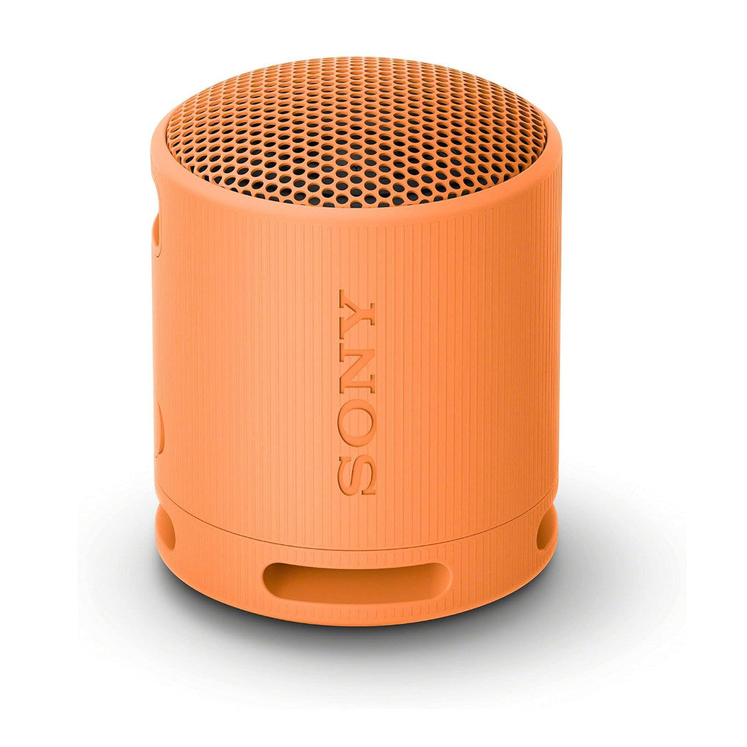 Sony SRS-XB100 - Compact Portable Bluetooth Speaker