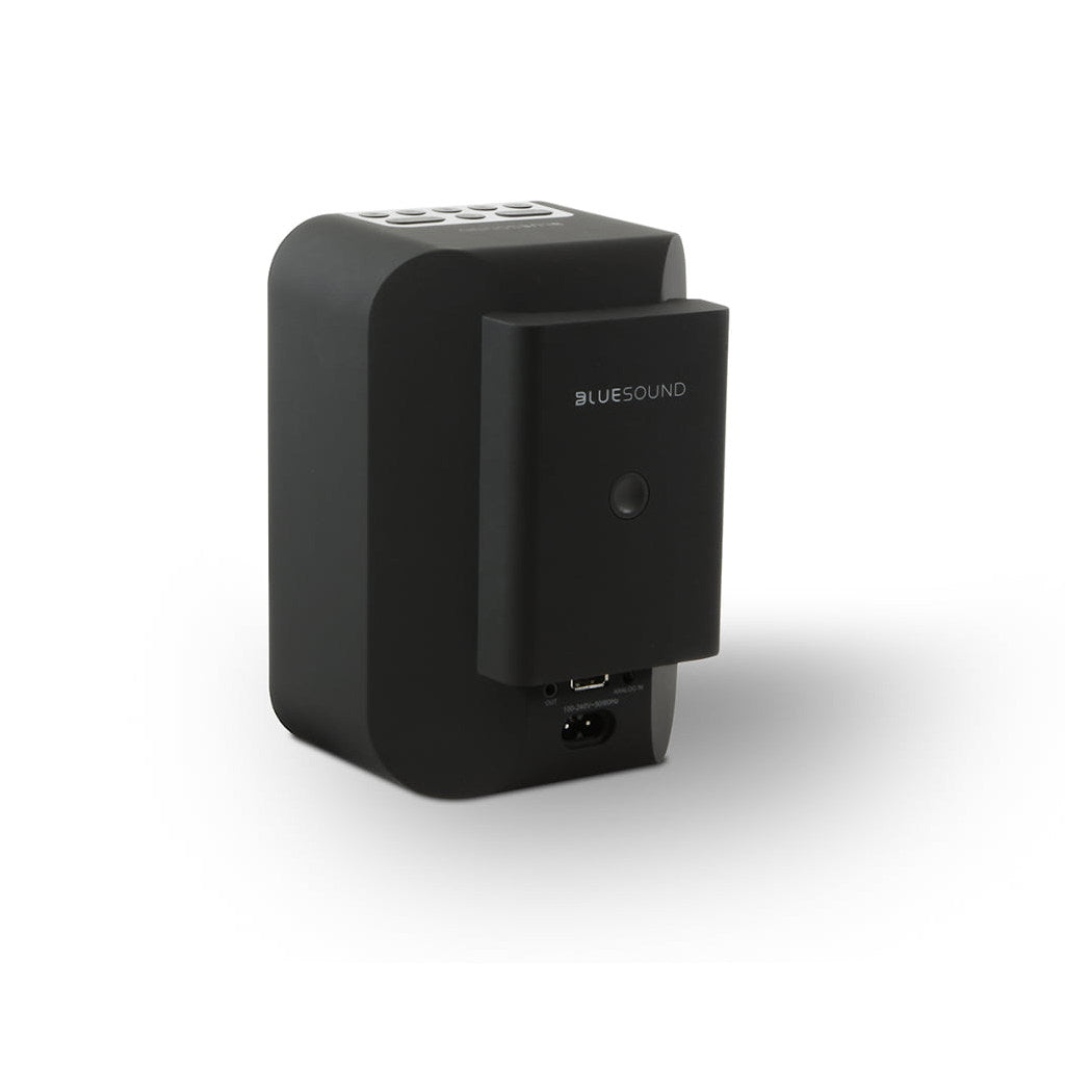 Bluesound Pulse Flex 2i Bundle - Portable Hi-Fi Speaker with Battery Pack & Skin