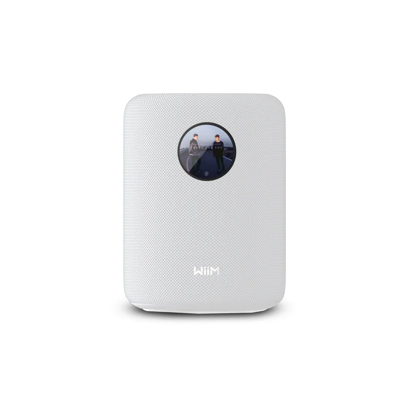 WiiM Sound Wireless Smart Speaker with Hi-Res Audio