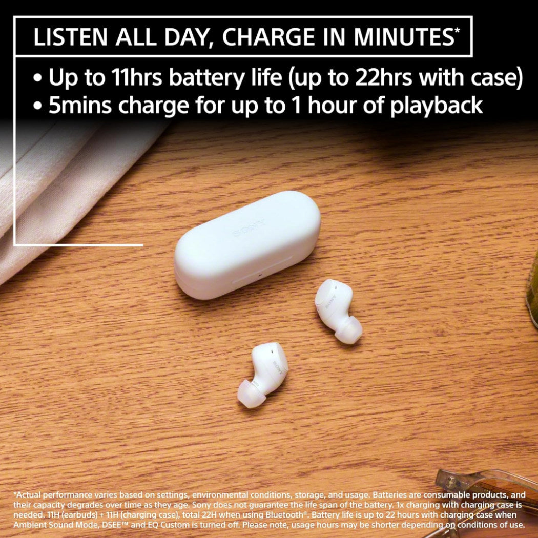 Sony WF-C510 True Wireless Earbuds
