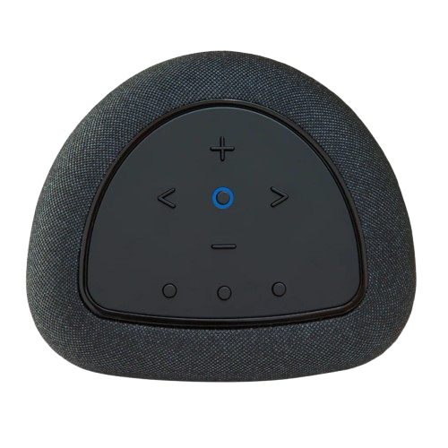 Bluesound Pulse Flex Wireless All-In-One Music Streaming Speaker