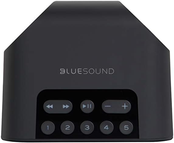 Bluesound Pulse Flex 2i Portable Wireless Streaming Speaker