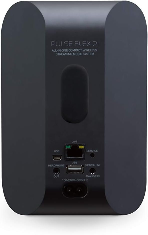 Bluesound Pulse Flex 2i Portable Wireless Streaming Speaker