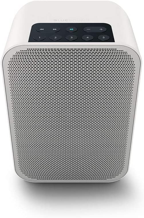 Bluesound Pulse Flex 2i Portable Wireless Streaming Speaker