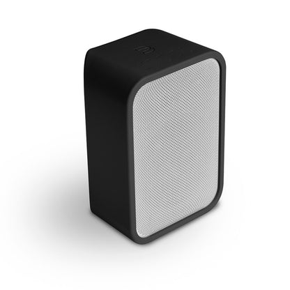 Bluesound Pulse Flex 2i Bundle – Portable Hi-Fi Speaker with Battery Pack & Skin