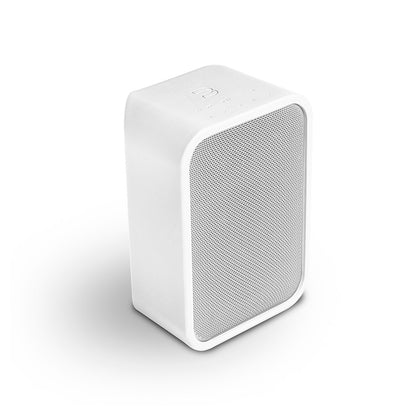 Bluesound Pulse Flex 2i Bundle – Portable Hi-Fi Speaker with Battery Pack & Skin