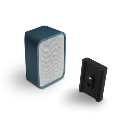 Bluesound Pulse Flex 2i Bundle – Portable Hi-Fi Speaker with Battery Pack & Skin