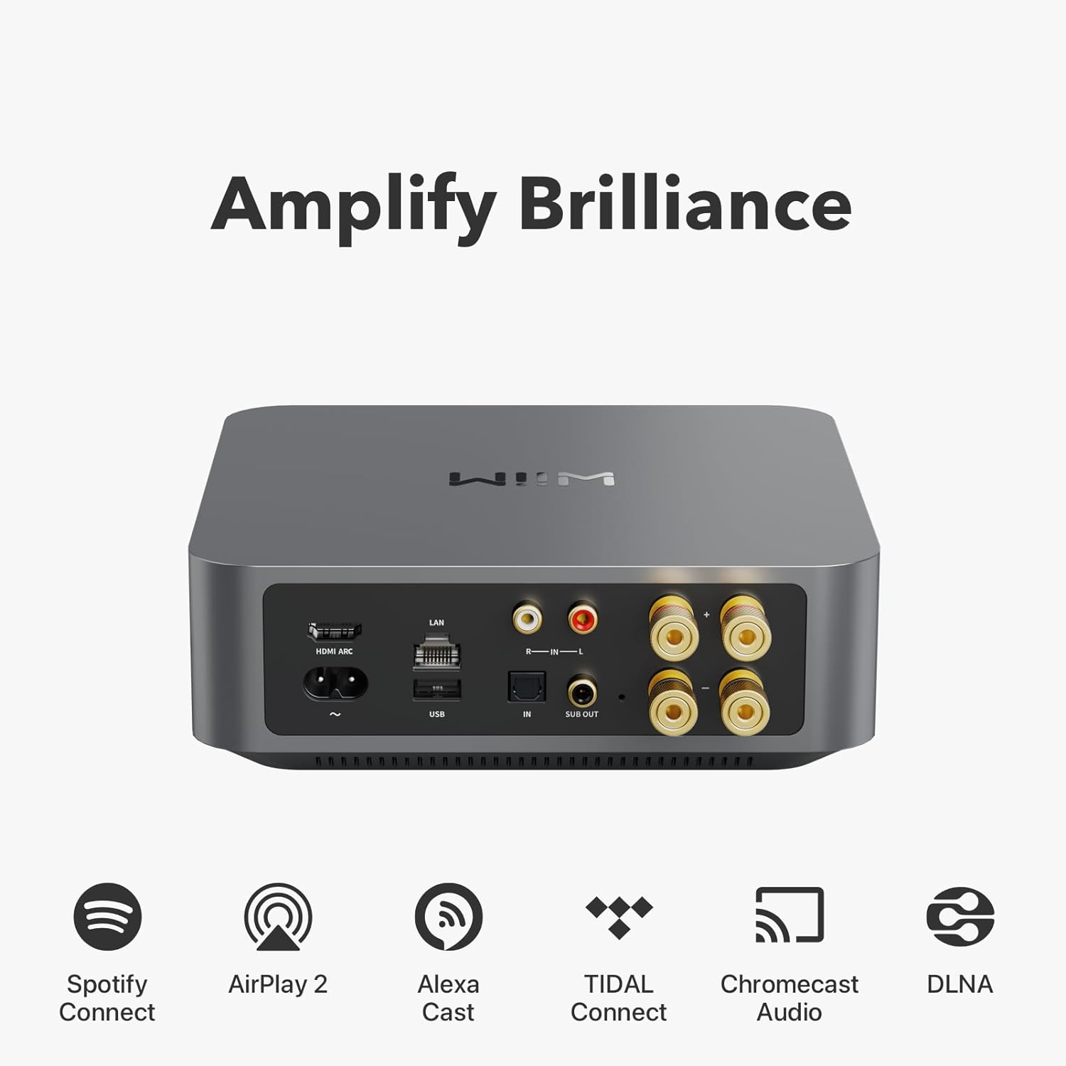 WiiM Amp - Amplificateur de streaming musical polyvalent