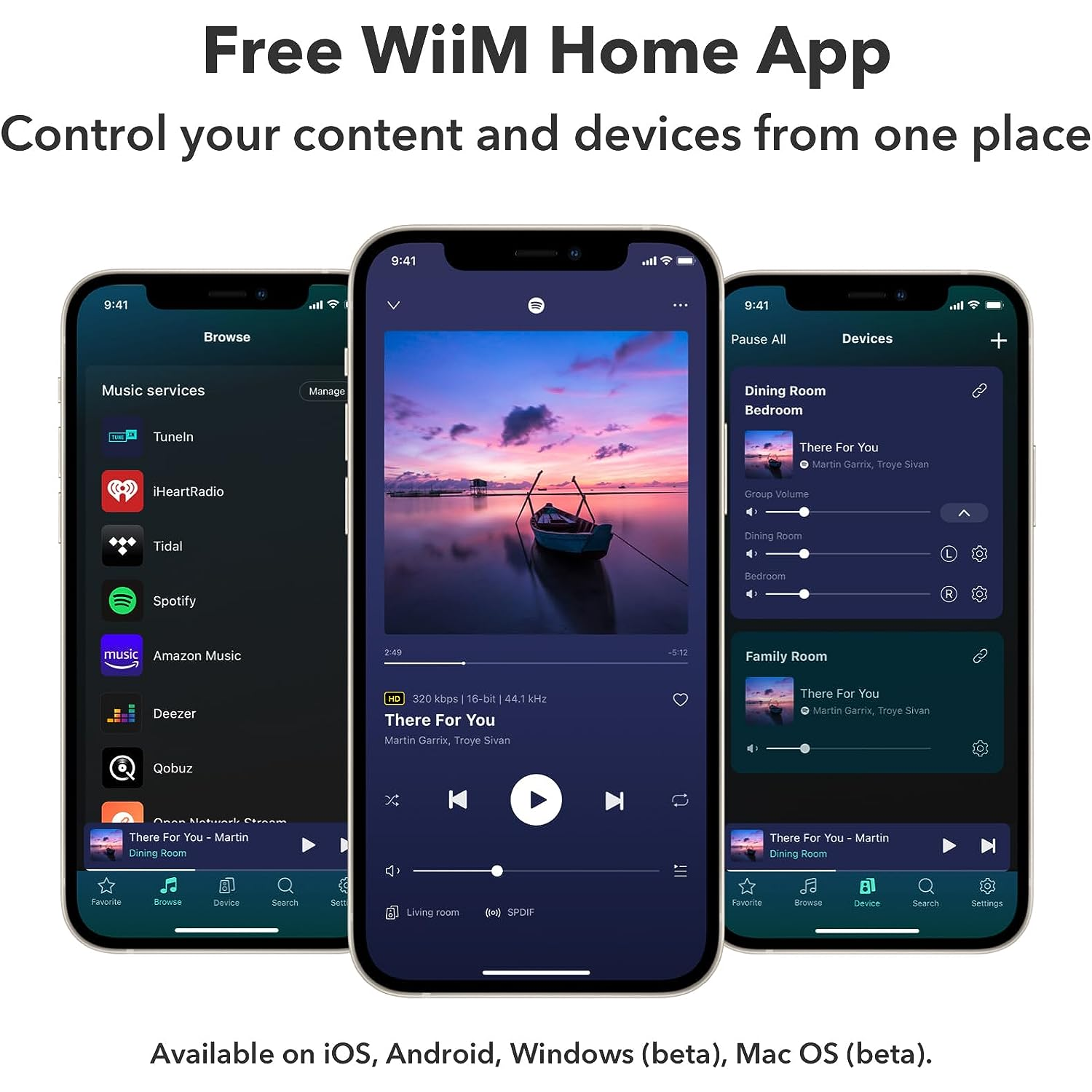 WiiM Amp - Amplificateur de streaming musical polyvalent
