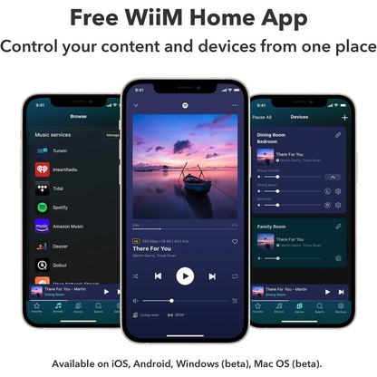 WiiM Amp - Amplificateur de streaming musical polyvalent