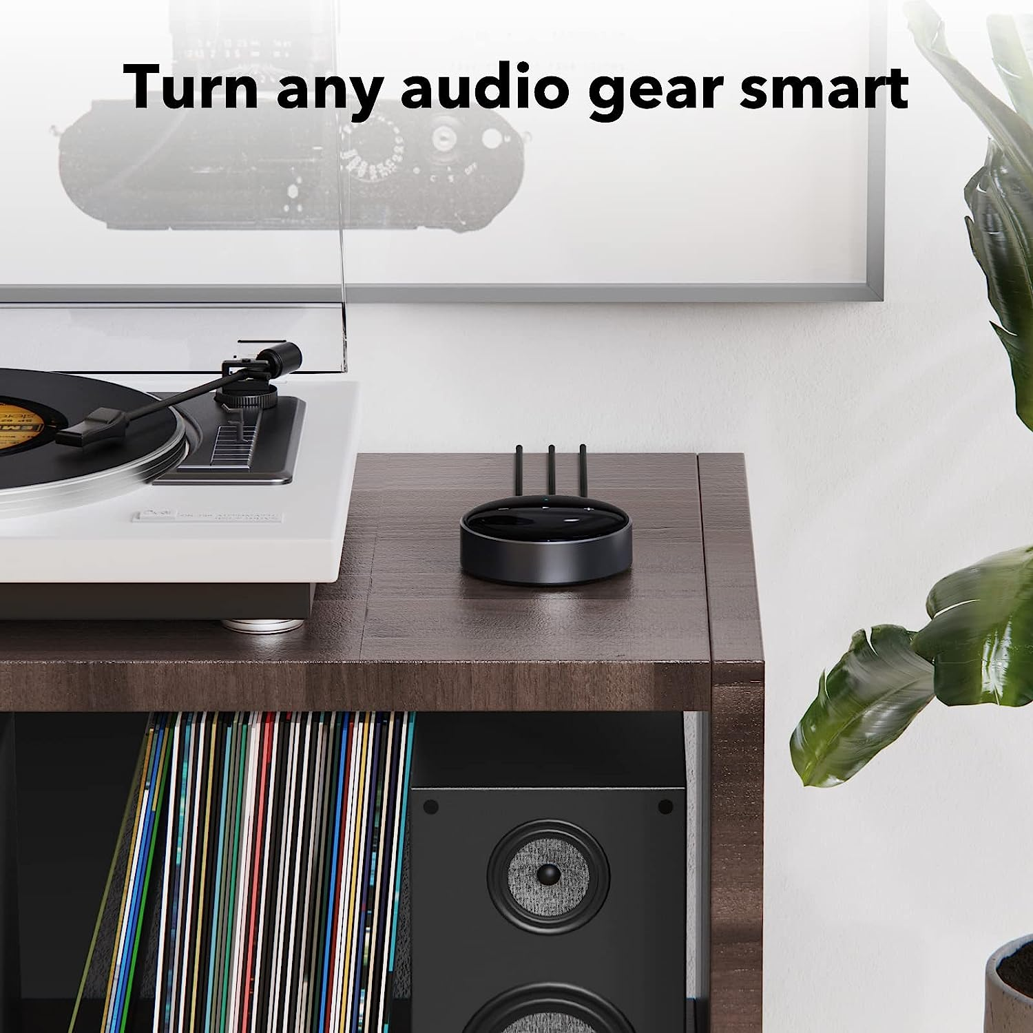 WiiM Mini - Diffuseur de musique intelligent