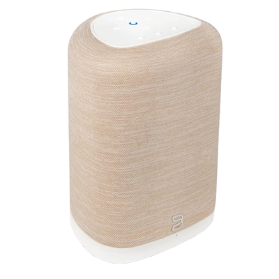 Bluesound Pulse Flex Wireless All-In-One Music Streaming Speaker