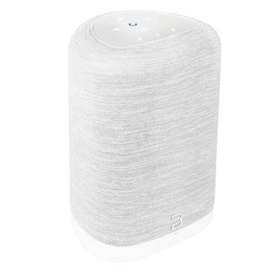 Bluesound Pulse Flex Wireless All-In-One Music Streaming Speaker