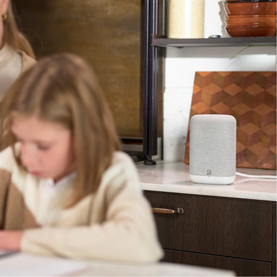 Bluesound Pulse Flex Wireless All-In-One Music Streaming Speaker