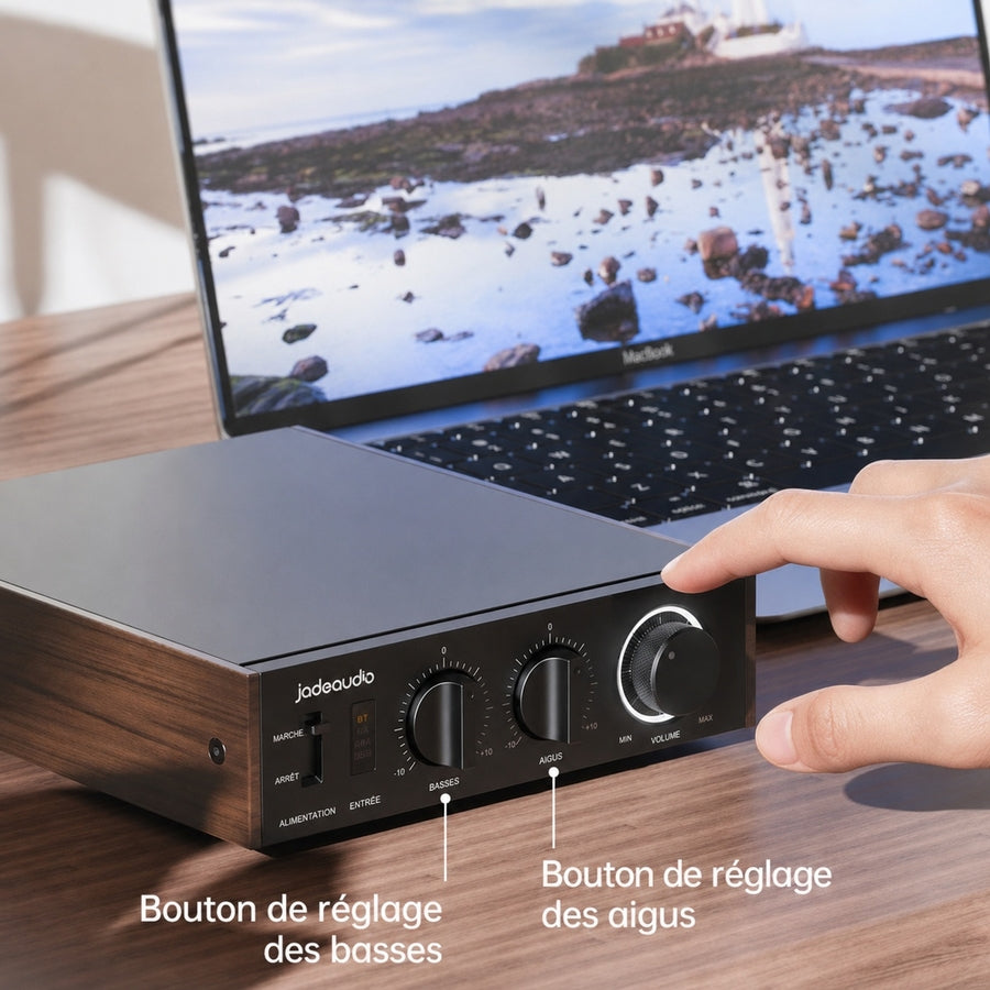 FiiO LEVEL 1 Compact HD Audio Power Amplifier