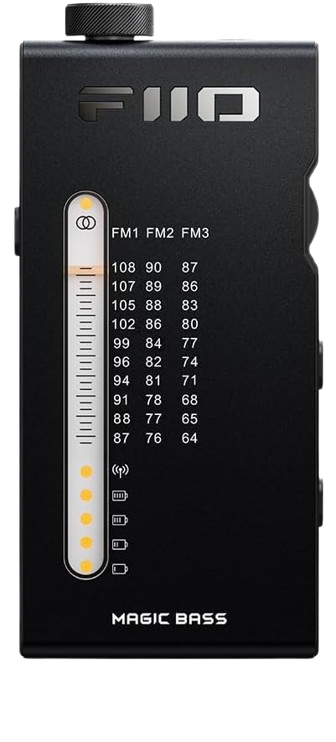 FiiO RR11 Portable FM Radio with USB DAC Mode