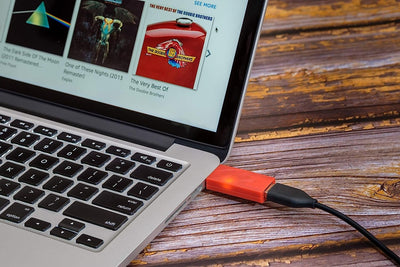 iFi iDefender+ USB Audio Ground Loop Eliminator (Type C > C) - Open Box